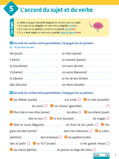 Le BLED Effaçable Orthographe CM1