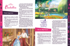 365 histoires pour le soir - Princesses et Fées