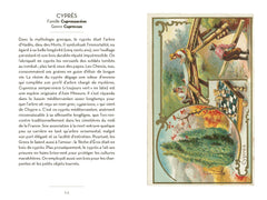 Le petit livre des arbres