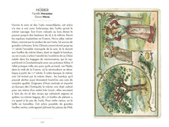 Le petit livre des arbres