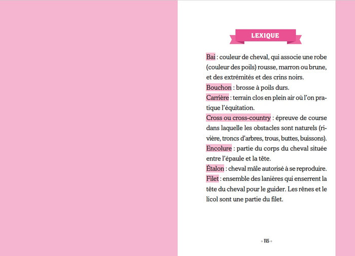 Un cheval pour Ariana - Tome 1