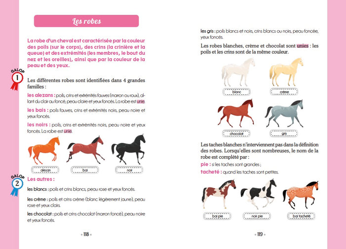 Un cheval pour Ariana - Tome 1