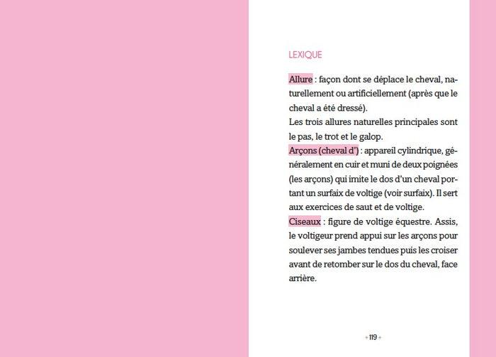 Le Galop des Etoiles - Le secret de Cherokee - Tome 2