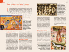 Guide bleu Rajasthan