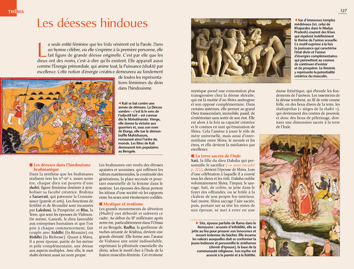 Guide bleu Rajasthan