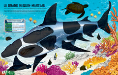 Construis tes requins avec des autocollants