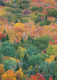 Québec - Les clés pour bien voyager