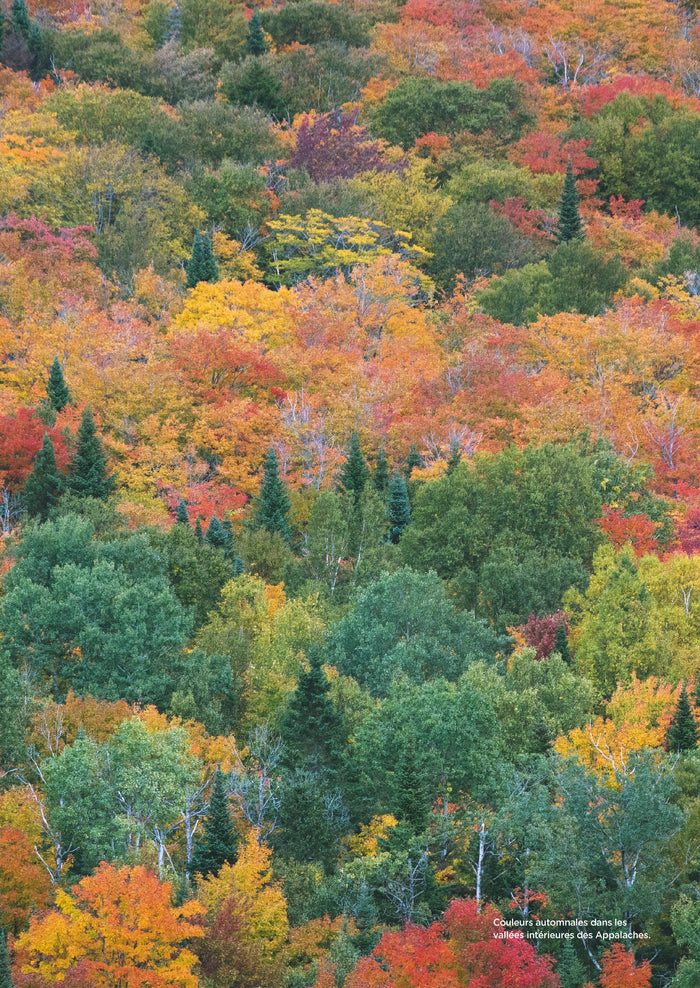 Québec - Les clés pour bien voyager