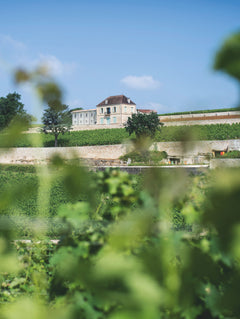 Château Pavie: Signature Perse
