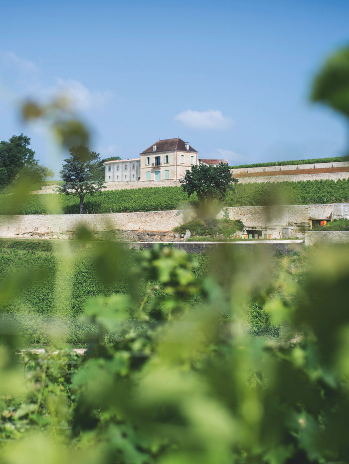 Château Pavie: Signature Perse