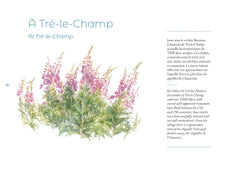 Carnet d'un peintre autour du Mont-Blanc