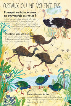 Nos incroyables oiseaux du monde