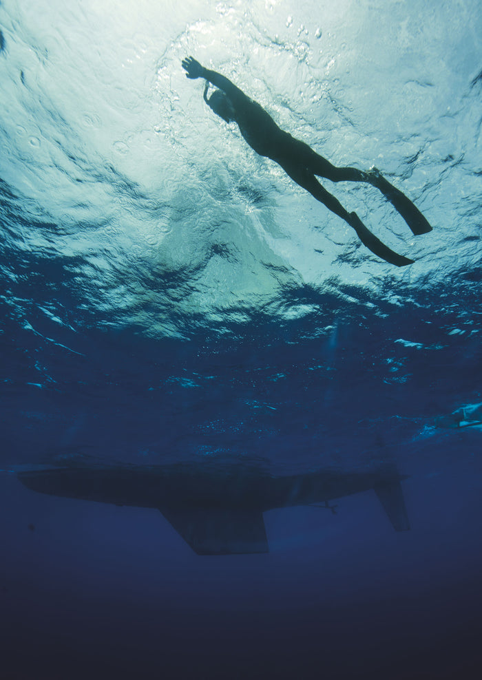 Nageur d'alerte: L'incroyable odyssée de Ben Lecomte