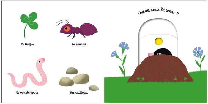 Mon imagier animé le jardin