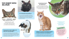 Tous les chats