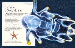 L'anthologie illustrée de la vie microscopique