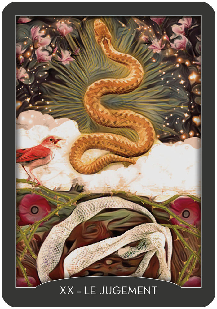 Coffret Tarot des gardiens de la nuit