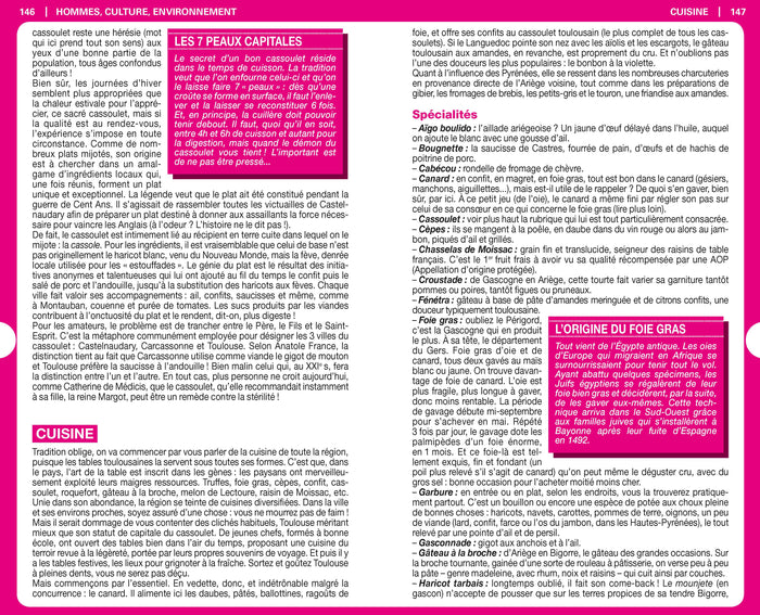 Guide du Routard Toulouse et ses environs 2019