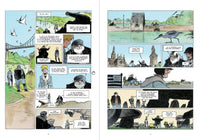 Phare Ouest - histoire complète