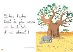 En route pour la savane, niveau 2