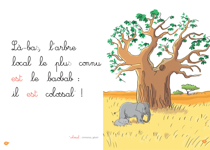 En route pour la savane, niveau 2