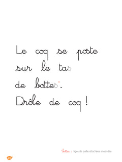 Joli coq, niveau 1 - J'apprends à lire Montessori