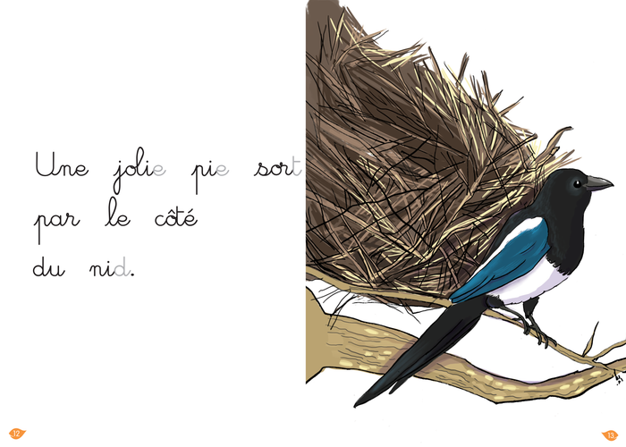 La pie bavarde, niveau 1 - J'apprends à lire Montessori