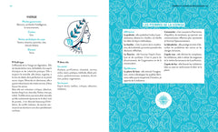 Pierres de bien-être