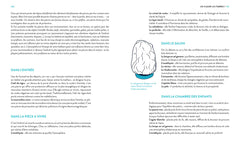 Pierres de bien-être