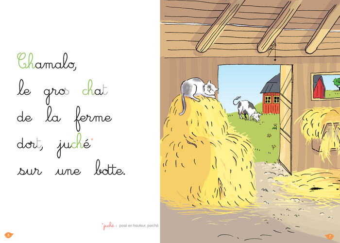 Bravo Chamalo ! niveau 2 - J'apprends à lire Montessori