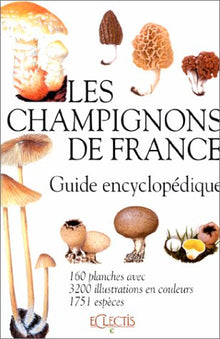 Les champignons de France