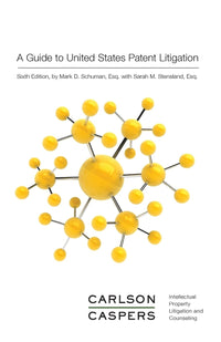 A Guide to United States Patent Litigation