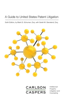 A Guide to United States Patent Litigation