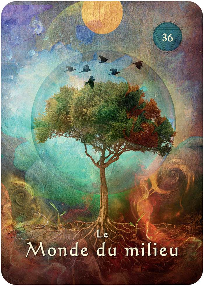 L'oracle pocket du chaman mystique