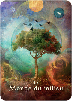 L'oracle pocket du chaman mystique