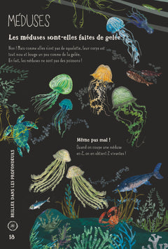 Nos incroyables animaux marins