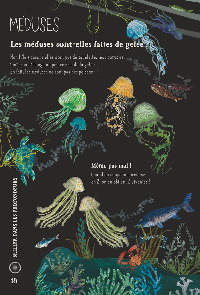 Nos incroyables animaux marins