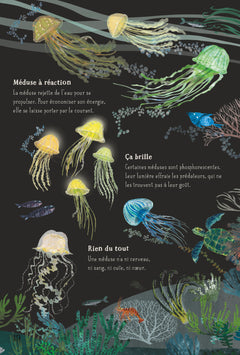 Nos incroyables animaux marins