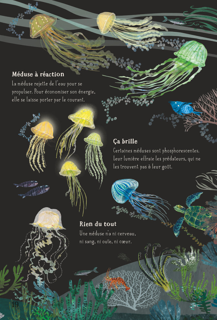 Nos incroyables animaux marins