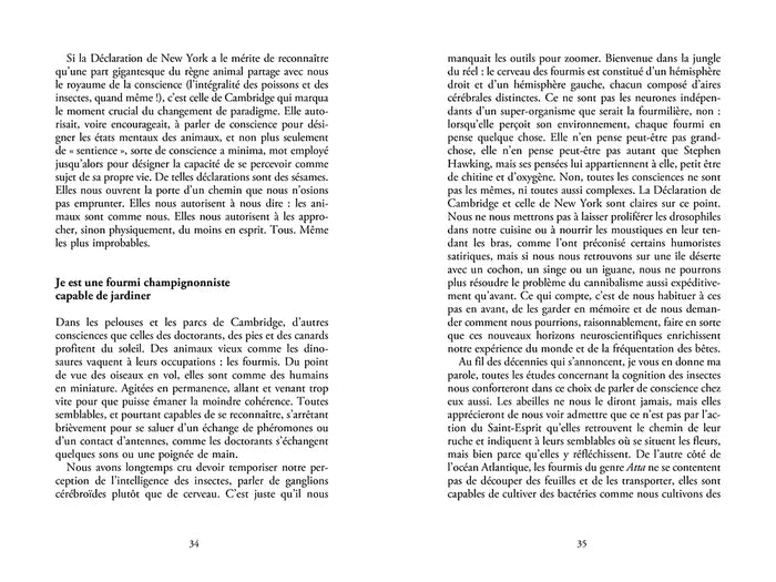 Je est un animal - Repenser la rencontre avec les animaux