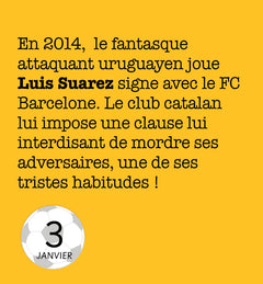 365 jours Totalement Foot