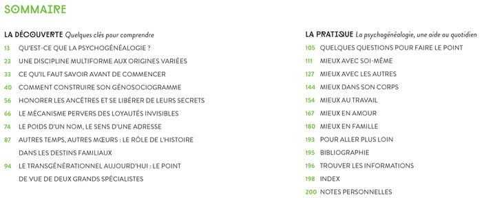 Psychogénéalogie au quotidien