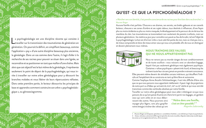 Psychogénéalogie au quotidien