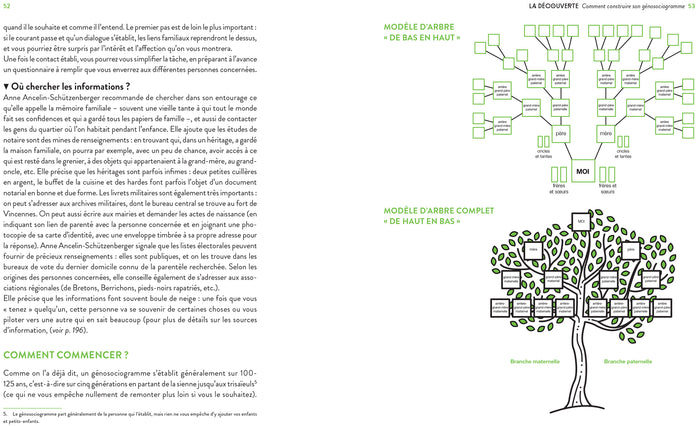 Psychogénéalogie au quotidien