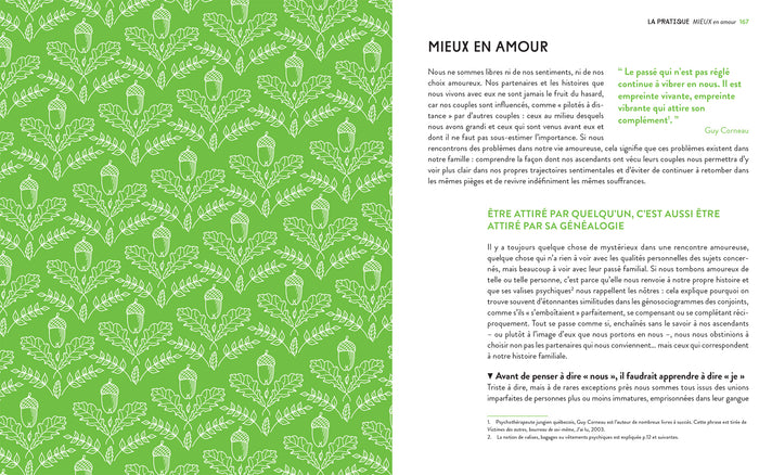 Psychogénéalogie au quotidien