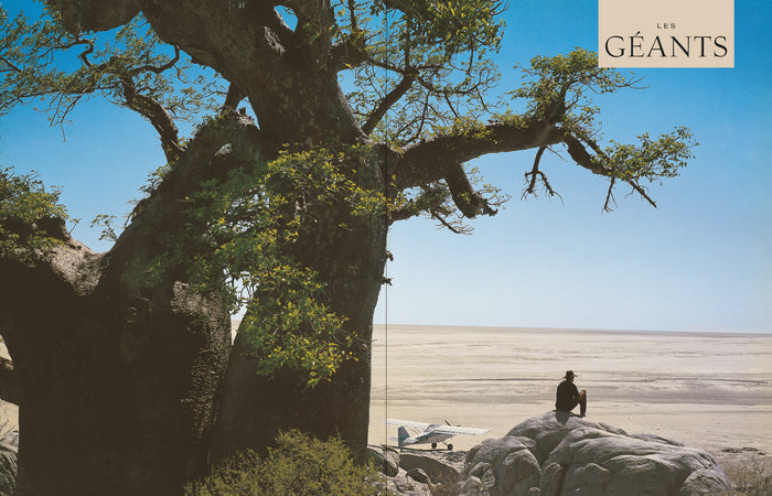 Le tour du monde en 80 arbres