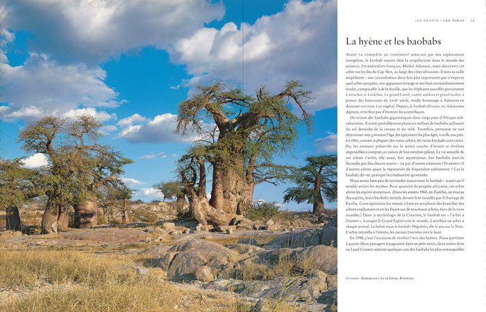 Le tour du monde en 80 arbres