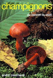 Champignons Du Nord Et Du Midi. Tome 7, Les Cortinaires