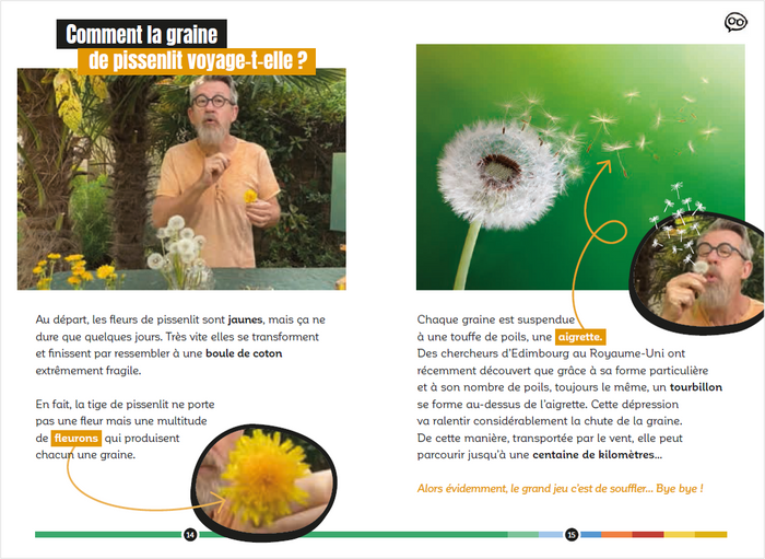 Pourquoi ça pique les orties ? et autres questions épineuses...