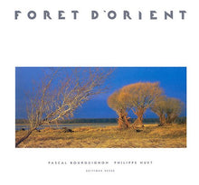 Forêt d'Orient